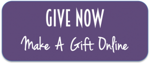 Give Now